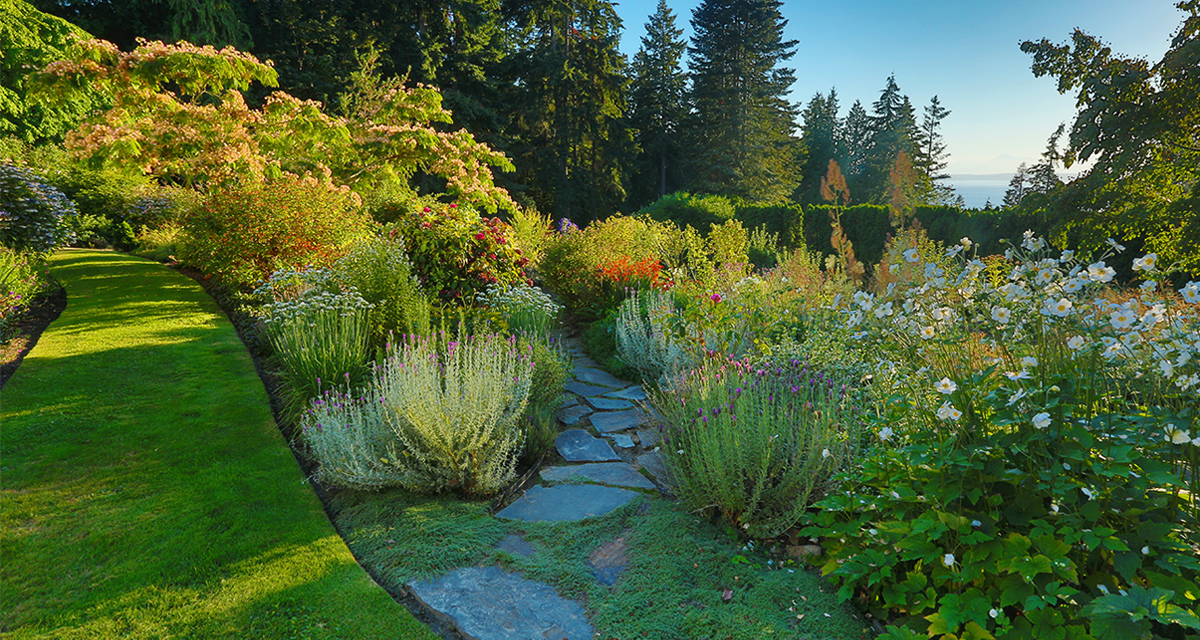 Garden image with grass path and colorful flowers.